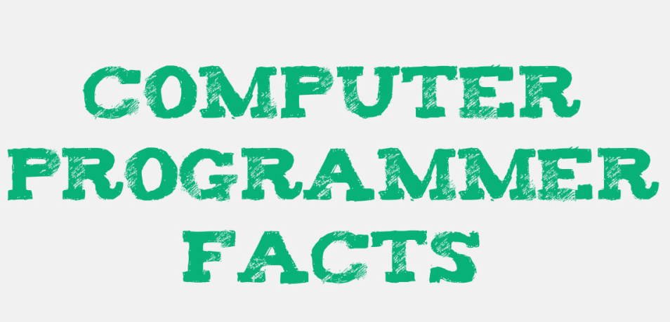 Computer Programmer Facts