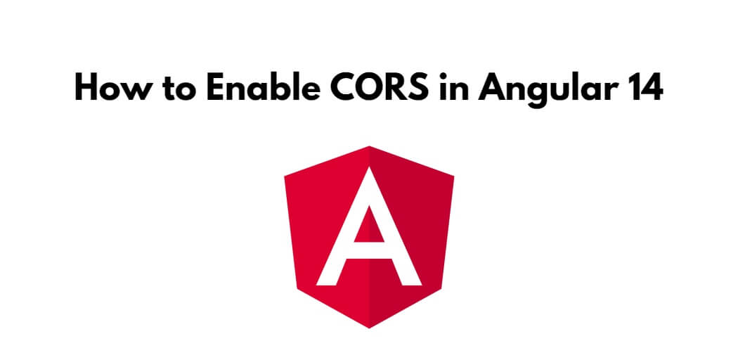 How to Enable CORS in Angular 14