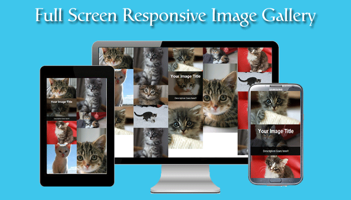 How to create Full Screen Responsive Image Gallery using CSS and Masonry