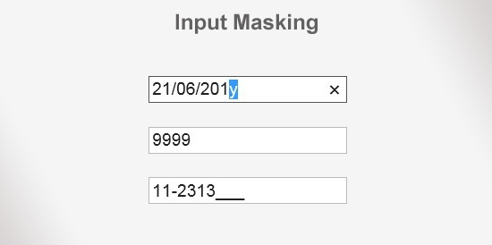 How to Mask an input box in jQuery