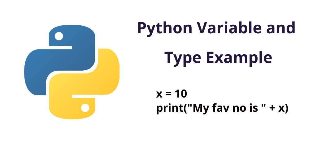 Python Variable And Type Example