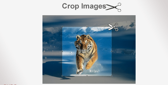 How to Crop Image with jQuery and PHP