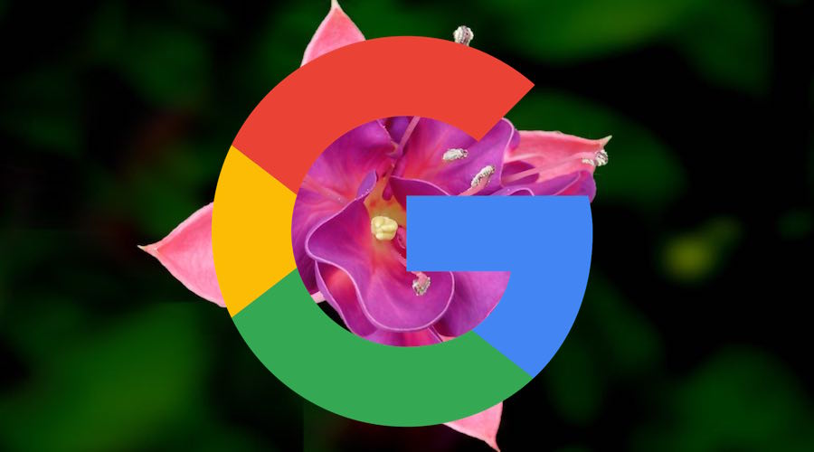 Google’s New Open Source OS Fuchsia — What Can We Expect From It?